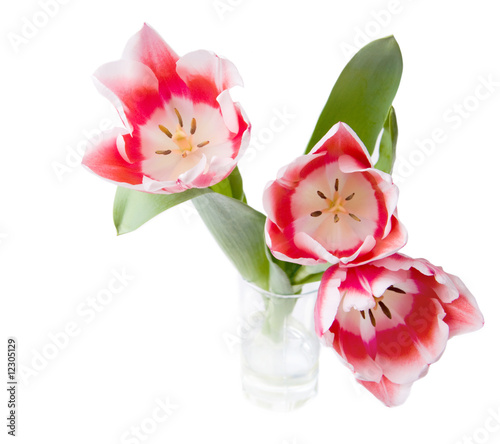 Photo: Bouquet Bouquet
