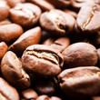 coffee-bean