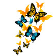 The butterfly. Vector illustration The butterfly. Vector illustration