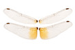 Wings of a dragonfly