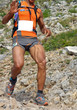 Leg anatomy !