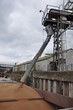 chargement de blé d'une péniche
