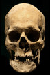 Skull-Portrait