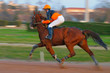 courses de chevaux