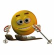 ski