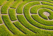 Ornemental garden