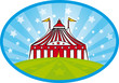 circus tent in the grass