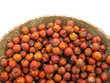 Juniperus red berries