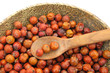 Juniperus juniper red berries