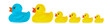 Family duck toy