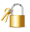 Padlock icon with keys