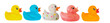 Many ducks toy of different colors