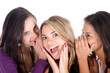 Gossip girls