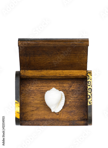 Photo: white seashell in the wooden box. white seashell in the wooden box.