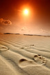 desert footprint