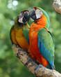 Life Mates