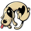 dog dog