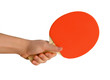 Pingpong racket
