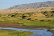 khongoryn Els