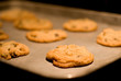 Cookies Baking Cookies Baking