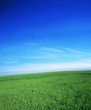 Images : paysage