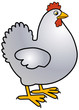 chicken