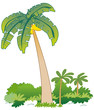 banana tree