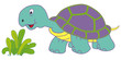 turtle feeding
