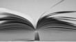 Buch
