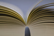 Buch