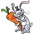 rabbit rabbit