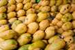 Stacks of fresh, ripe Philippine mangoes Stacks of fresh, ripe Philippine mangoes