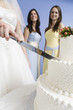 Midsection of a couple cutting cake.