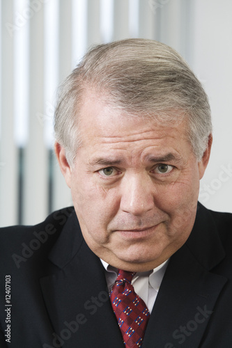 Photo: Portrait of a mature business man. Portrait of a mature business man.