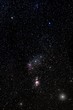 Orion