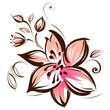 Lily