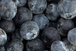 Wet Blueberries Wet Blueberries