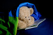 Bear 04