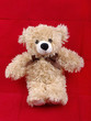 Brown bear toy isolated on red background with shadow. Brown bear toy isolated on red background with shadow.