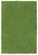 large grass background