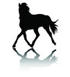 horse silhouette