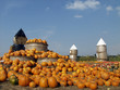 Kürbis