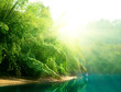 sunset in jungle of Thailand