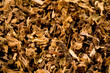 tobacco macro