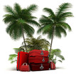 Pack voyage valise