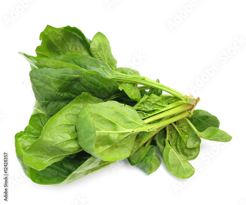 Photo: Spinach leaves Spinach leaves