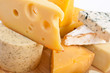Various types of cheese Various types of cheese