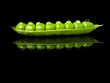 Green Pea With Black Background
