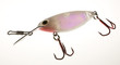 lure