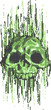 computer virus skull concept